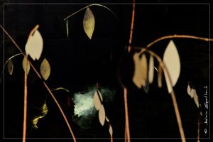 photo alain chomy huet