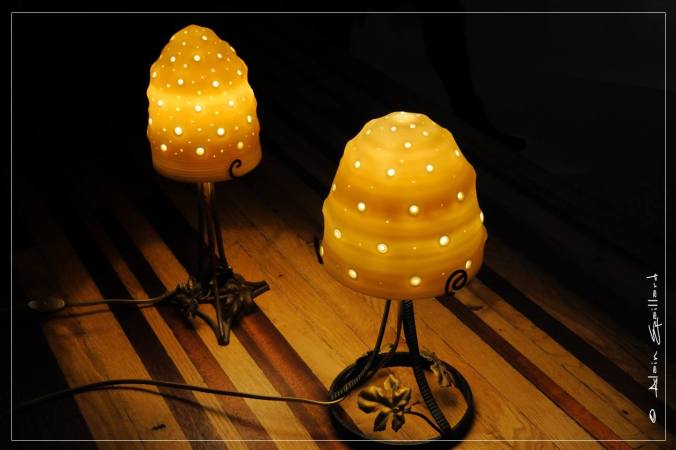 terre d'expression 2